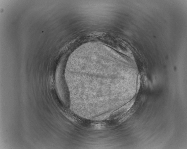 X0000073750564200608241350