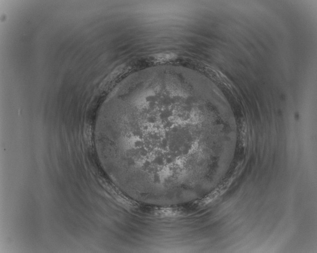 X0000073750565200608241350