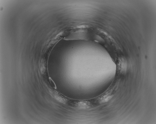 X0000073750566200608241350