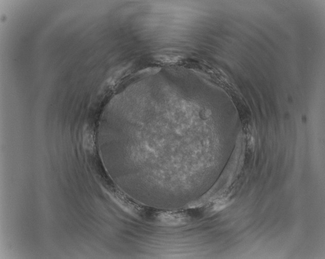 X0000073750568200608241350