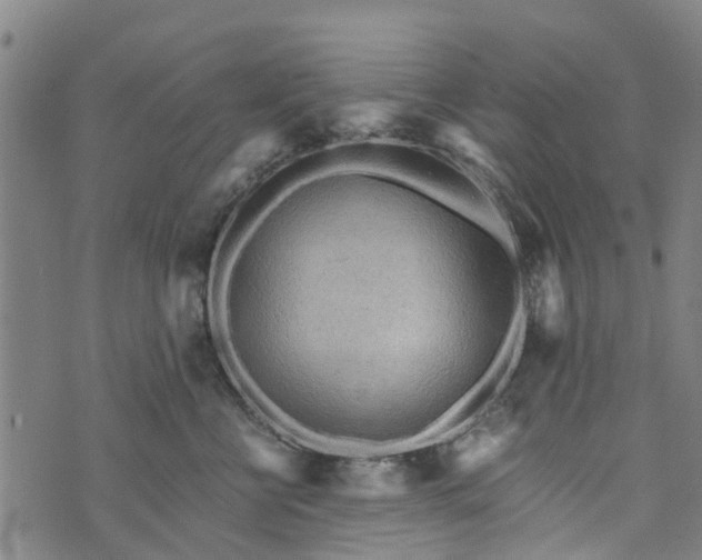 X0000073750570200608241350