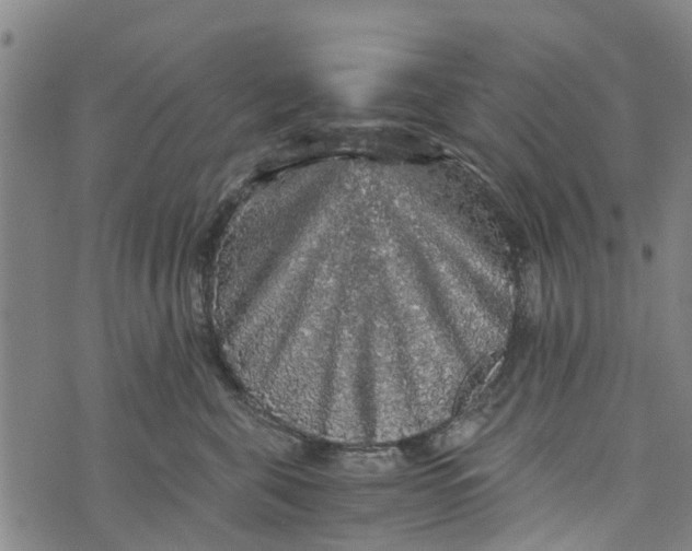 X0000073750571200608241350