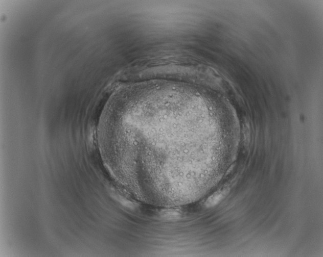 X0000073750574200608241350