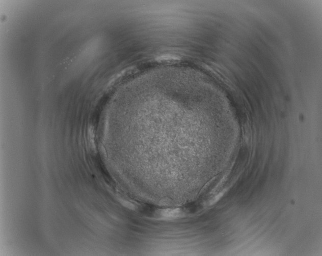 X0000073750575200608241350