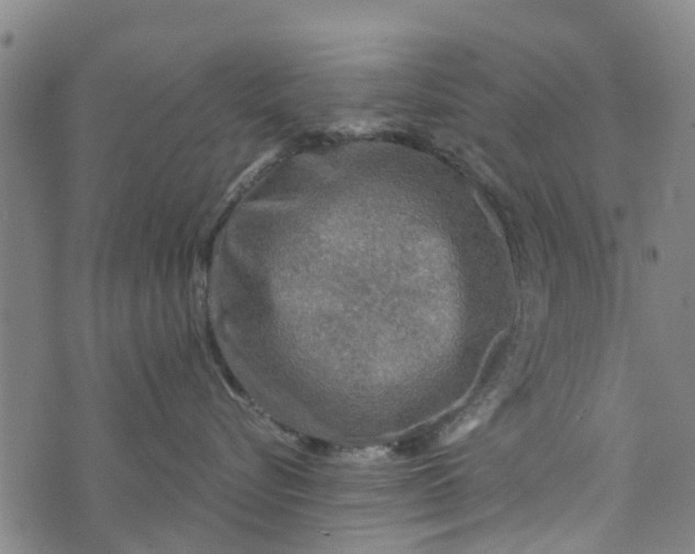 X0000073750576200608241350