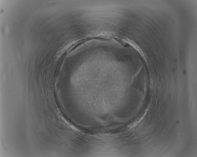 X0000073750577200608241349