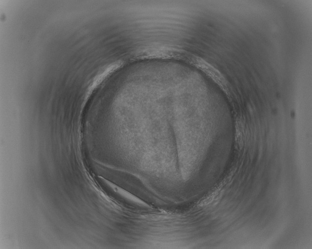 X0000073750578200608241349