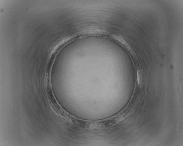 X0000073750579200608241349