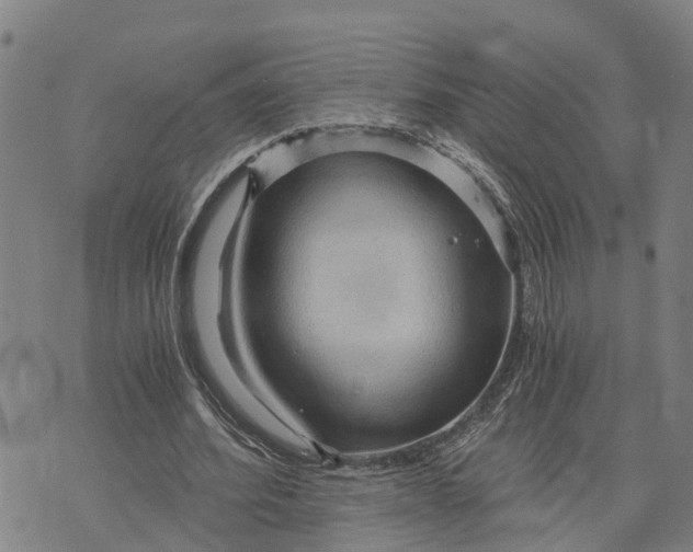 X0000073750580200608241349