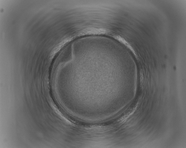 X0000073750581200608241349