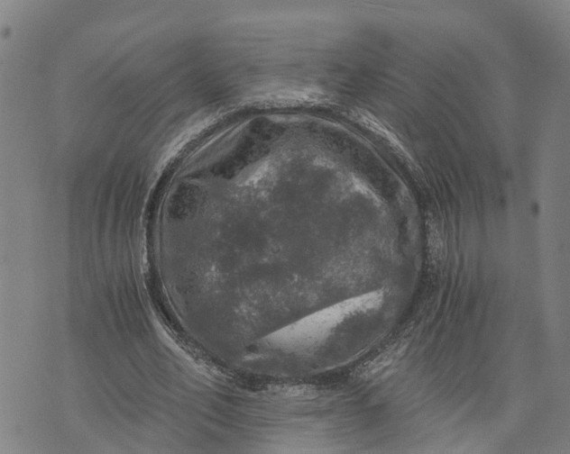 X0000073750582200608241349