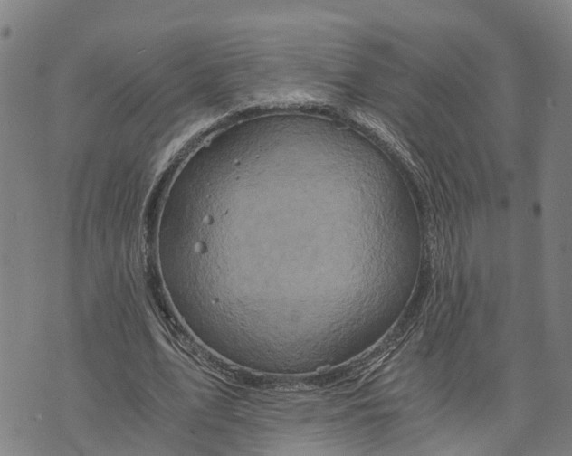 X0000073750583200608241349