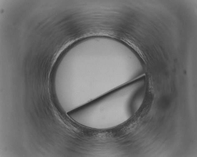 X0000073750584200608241349