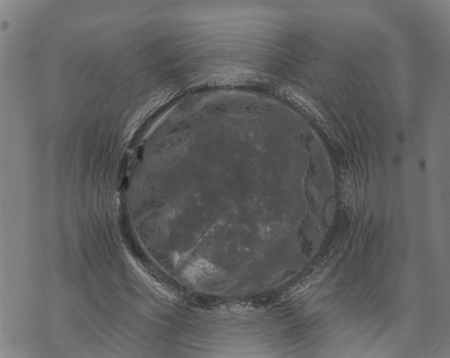 X0000073750586200608241349