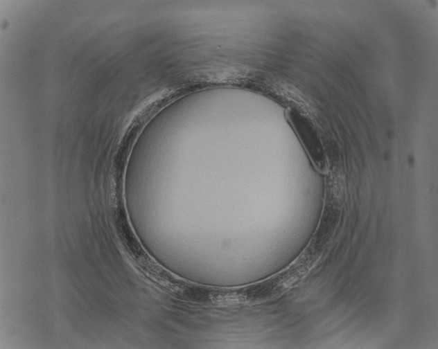 X0000073750587200608241349