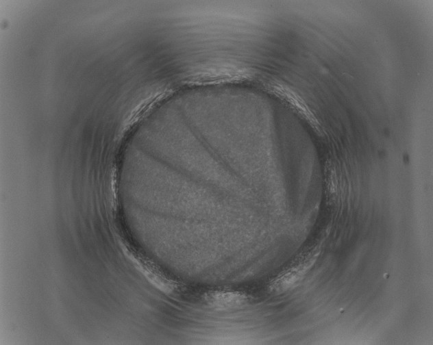 X0000073750590200608241349