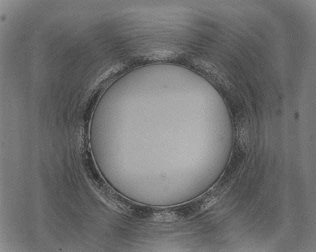 X0000073750591200608241349