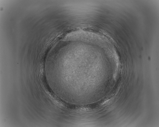 X0000073750593200608241349