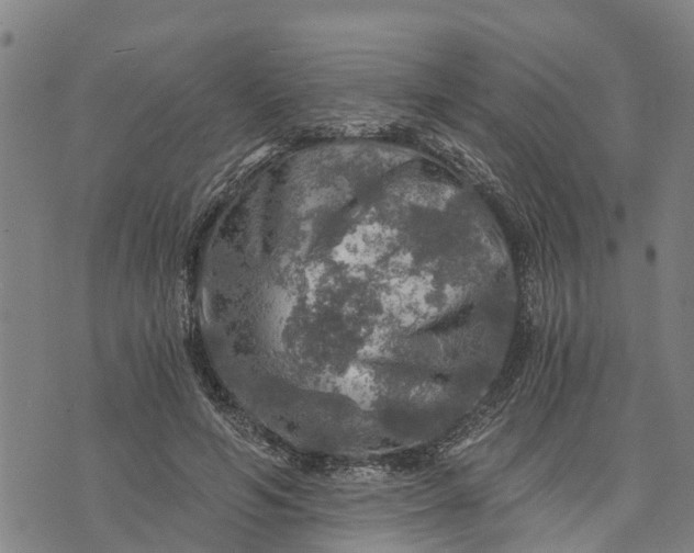 X0000073750594200608241349