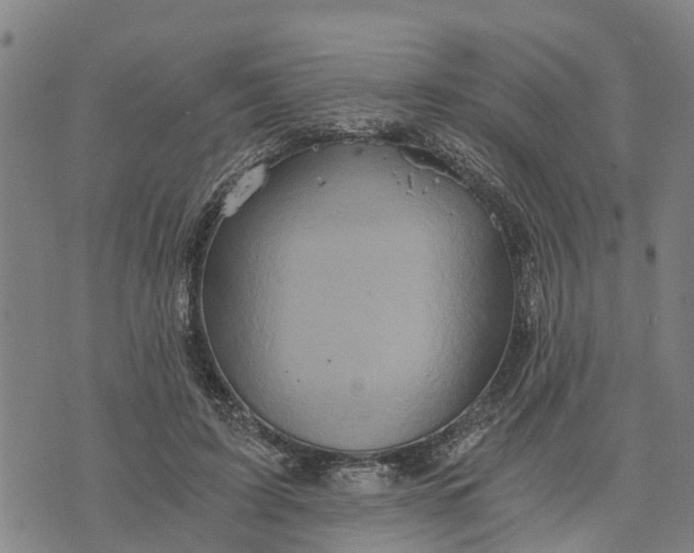 X0000073750595200608241349