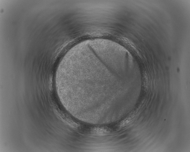 X0000073750596200608241349