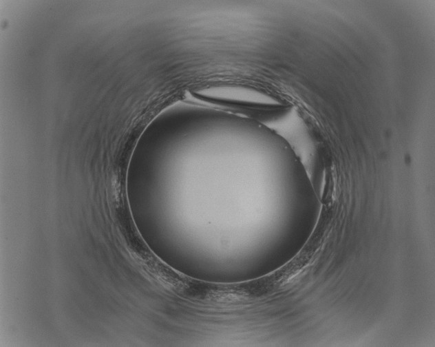 X0000073750597200608241349