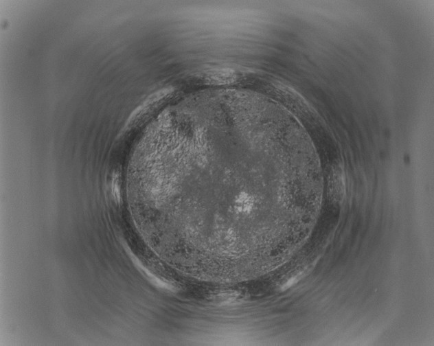 X0000073750598200608241349