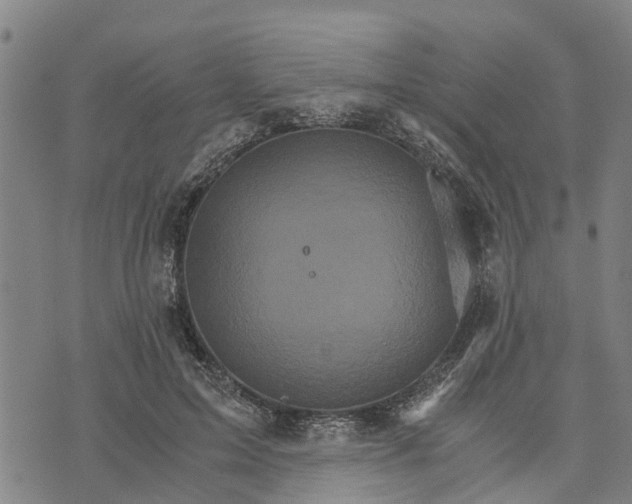 X0000073750599200608241349