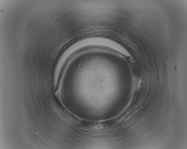 X0000073750600200608241349