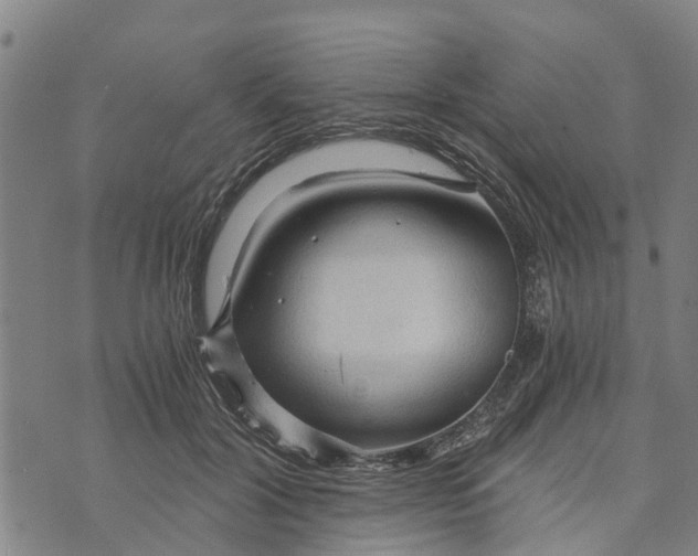 X0000073750604200608241349