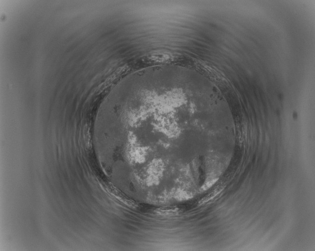 X0000073750606200608241349