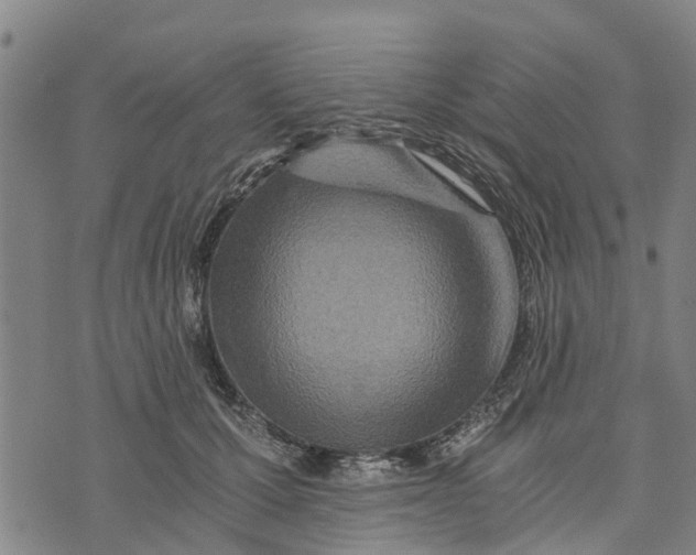 X0000073750607200608241349