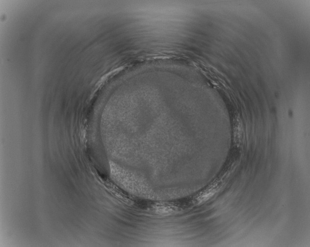 X0000073750608200608241349