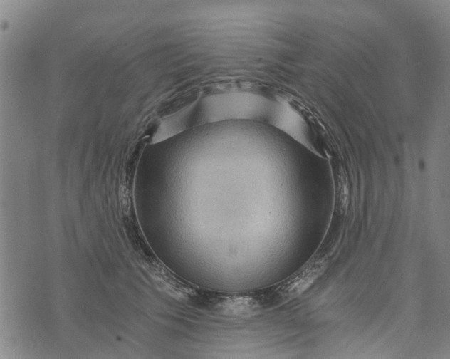 X0000073750609200608241349