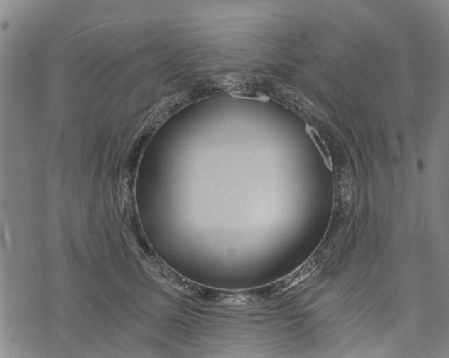 X0000073750611200608241349