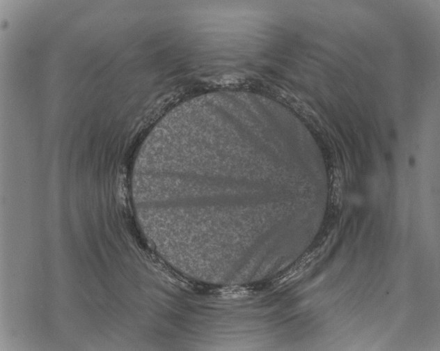 X0000073750612200608241349