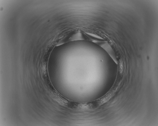 X0000073750613200608241349