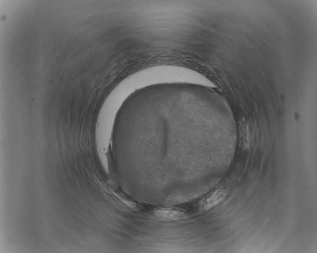 X0000073750614200608241349