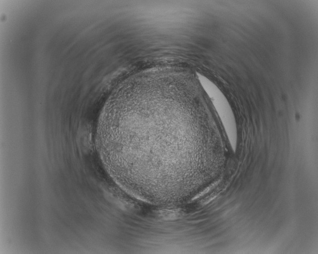 X0000073750615200608241349