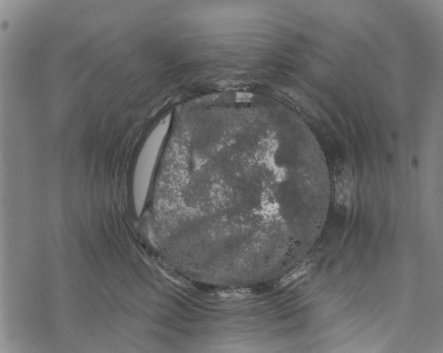 X0000073750618200608241348