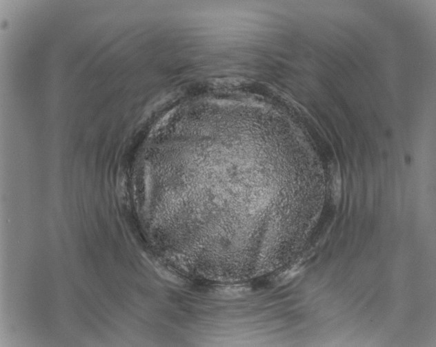 X0000073750619200608241348