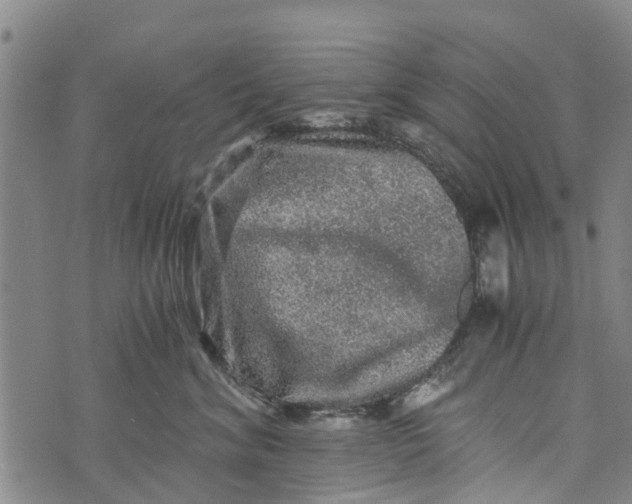 X0000073750620200608241348