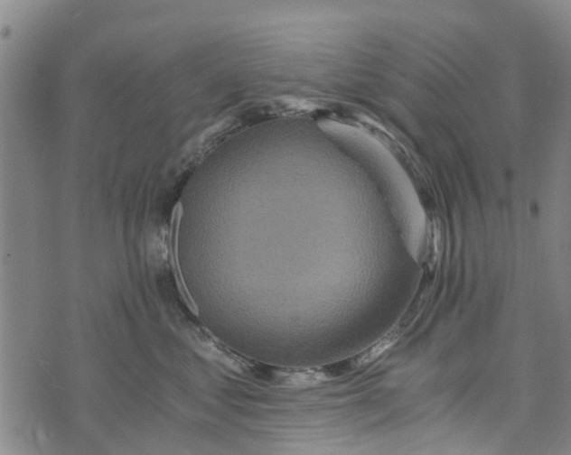 X0000073750621200608241348