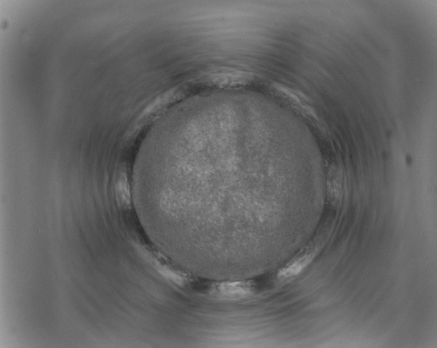 X0000073750622200608241348