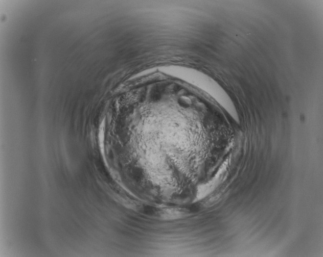 X0000073750623200608241348