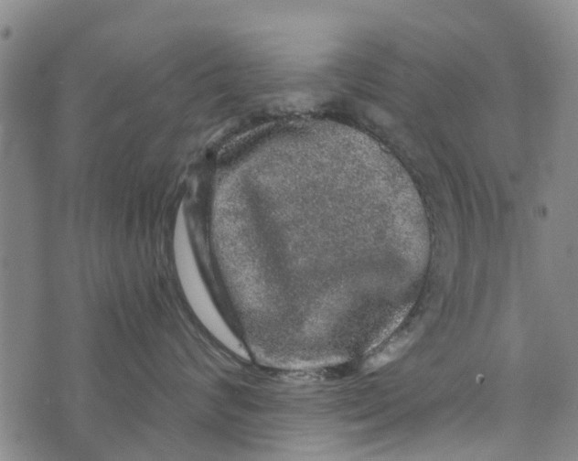 X0000073750624200608241348