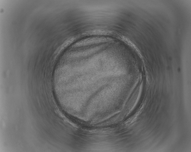 X0000073750625200608241348