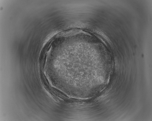 X0000073750626200608241348