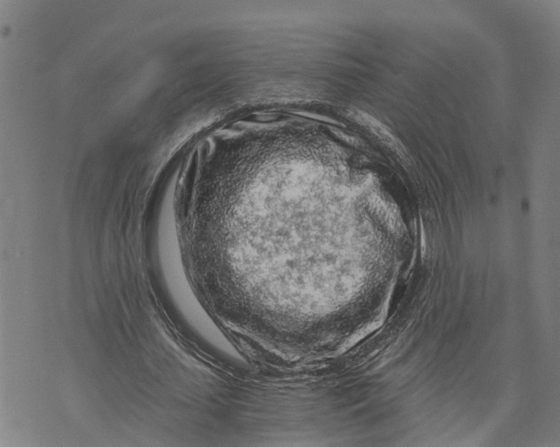 X0000073750627200608241348