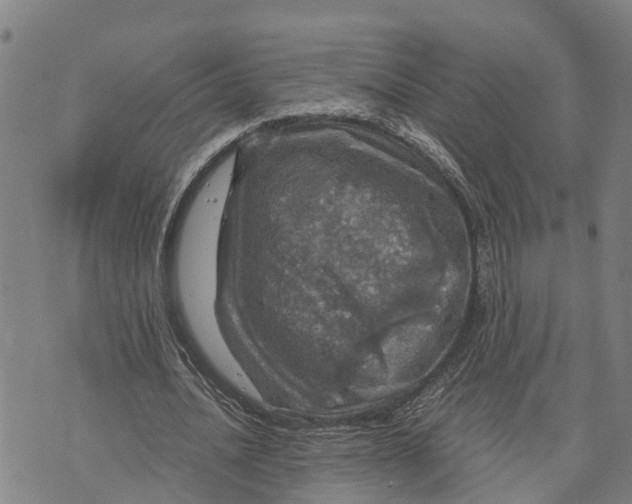 X0000073750628200608241348